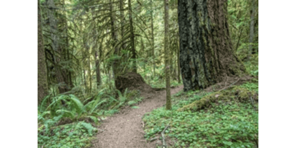 10 Best Running Trails in The State of New York