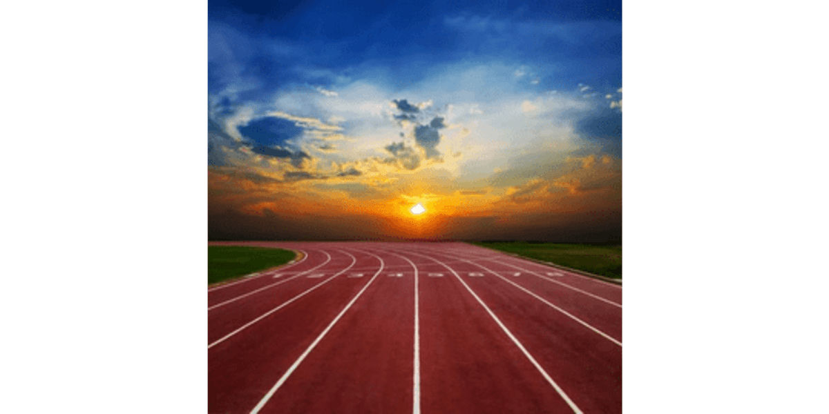 Essential Features Track Running Shoes Must Have