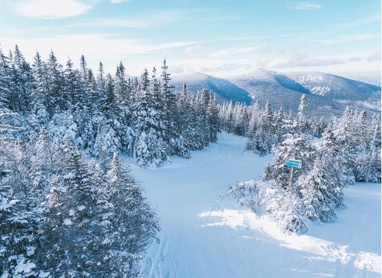 Discover Amazing Trails and Scenic Views in the Pine Tree State
