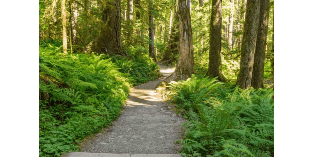 Explore the Best Running and Hiking Spots in Maine