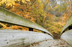 Discover Beautiful Paths for Every Runner