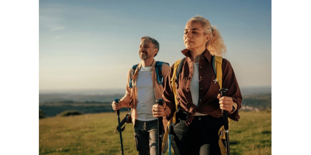 5 Best Hiking Shoes for Your Next Adventure