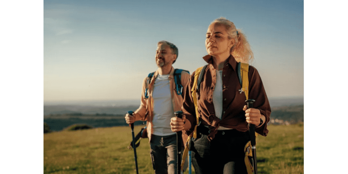 5 Best Hiking Shoes for Your Next Adventure
