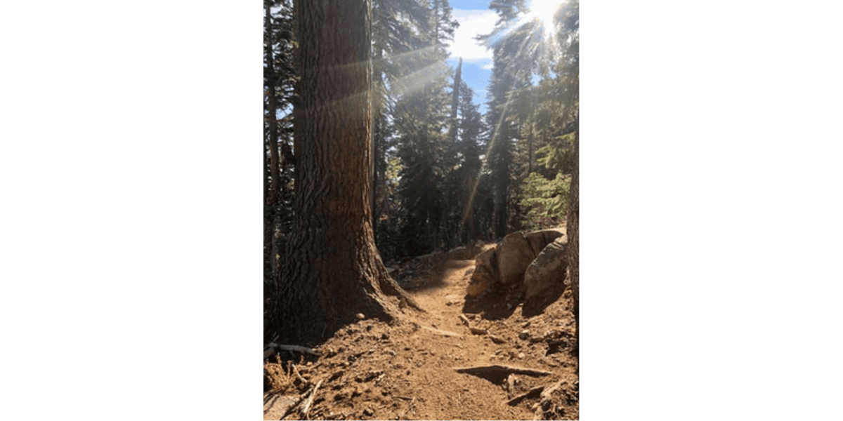 Northern California's Top Hiking & Running Destinations
