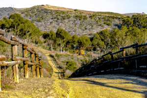 Discover the Best Outdoor Adventures in Southern California