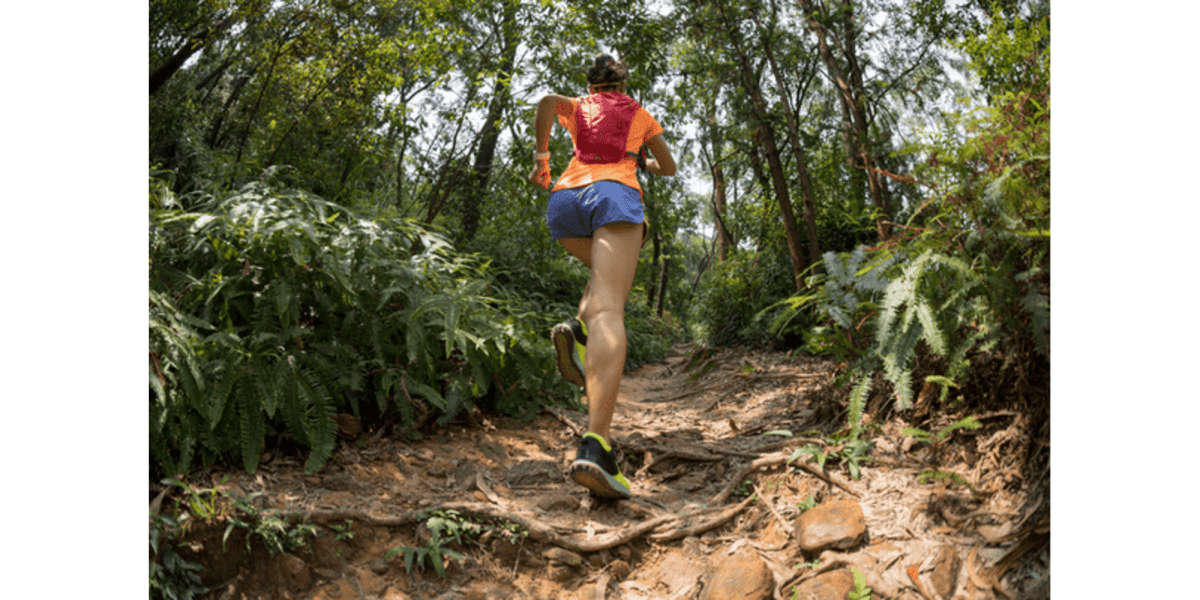 Top Trails for Running & Hiking in New Jersey
