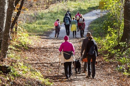 The Best Sneaker Features for Long-Distance Walking: Save on Sneaks
