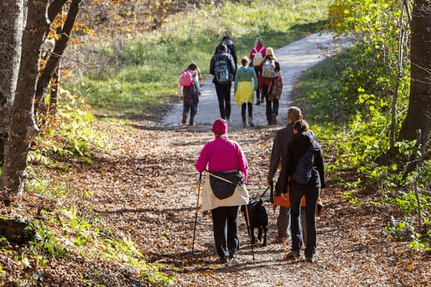 The Best Sneaker Features for Long-Distance Walking: Save on Sneaks