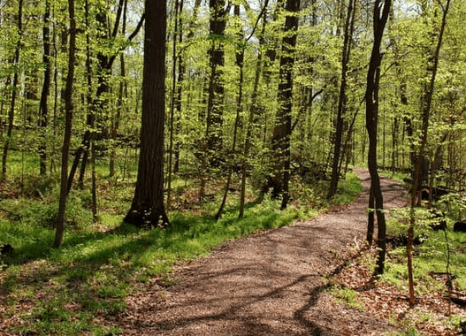 maine trails