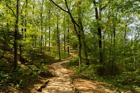 maryland trails