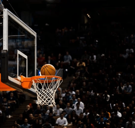 basketball net