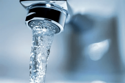 water for you and your dog