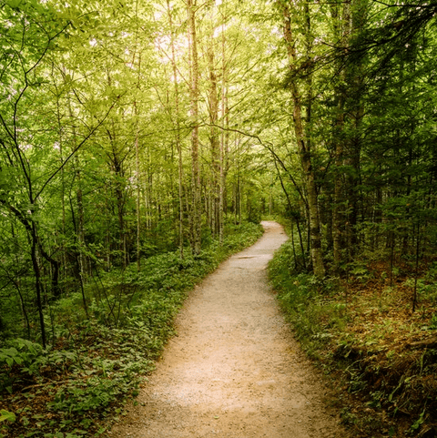 running trails