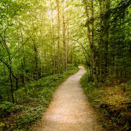 maine trails