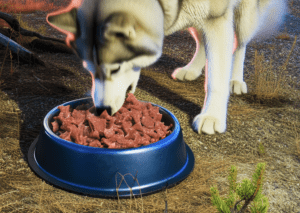 Raw dog food has its pros and cons, read on to see if raw food is right for your pup.