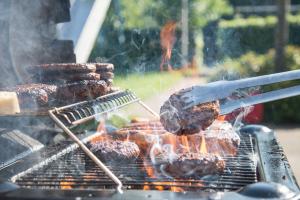 Your Guide to Finding the Right Grill for Your Backyard Cookouts