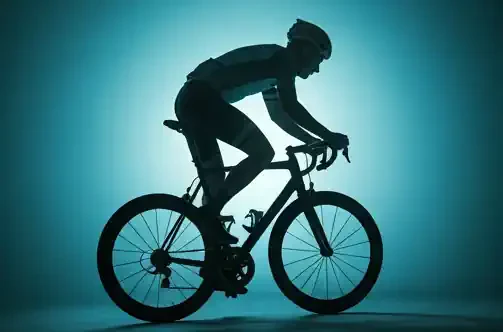 Choosing the Perfect Bicycle: Tailored to Your Needs