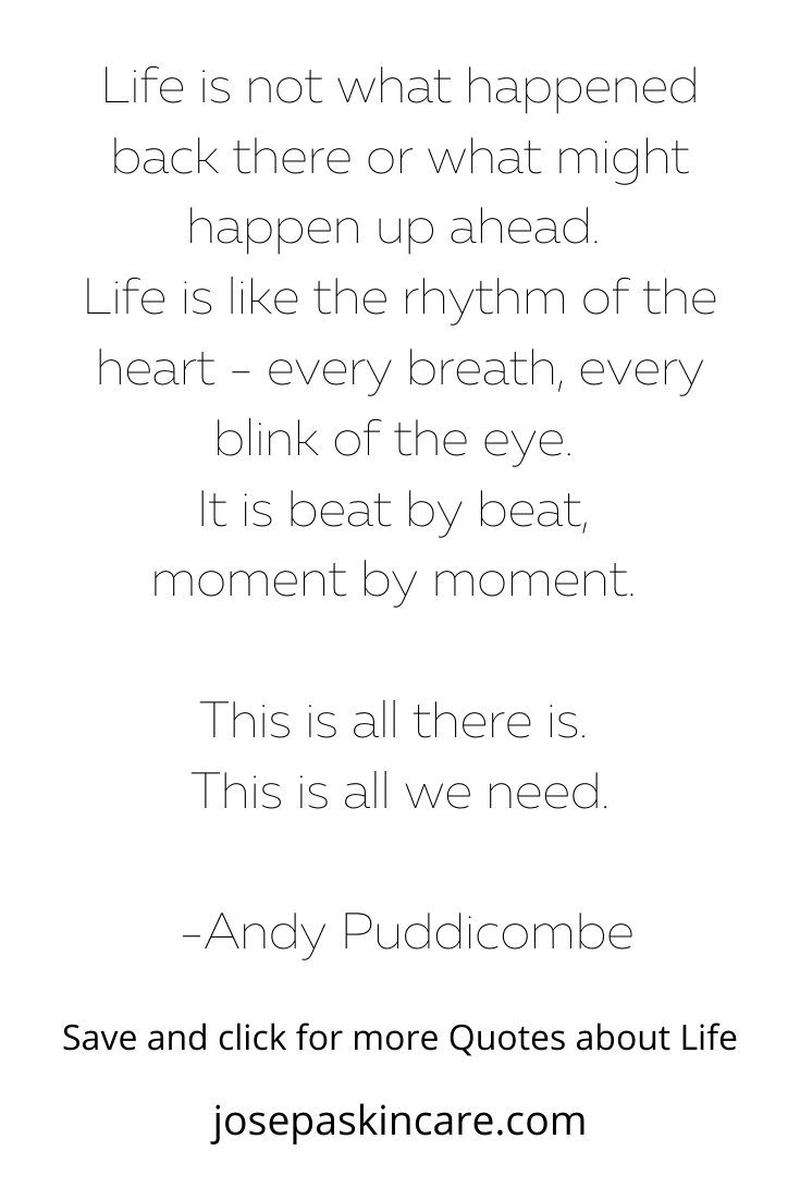 "Life is not what happened back there or what might happen up ahead. Life is like the rhythm of the heart - every breath, every blink of the eye. It is beat by beat, moment by moment. This is all there is. This is all we need." -Andy Puddicombe