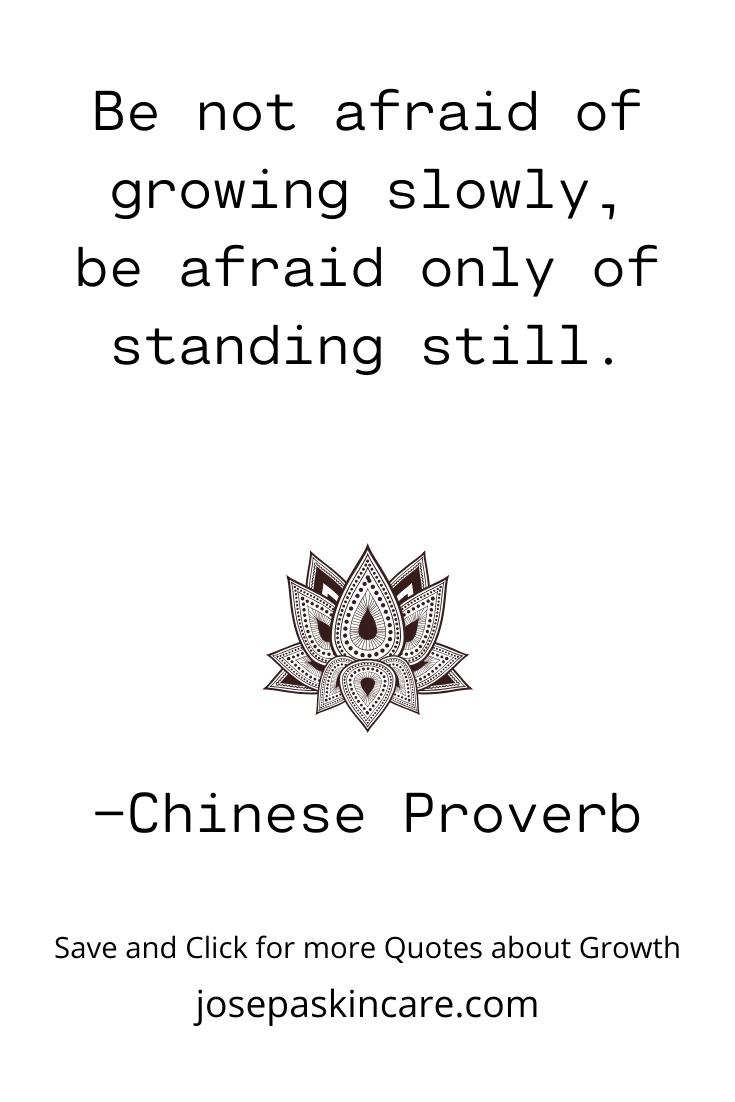 Be not afraid of growing slowly, be afraid only of standing still. – Chinese Proverb