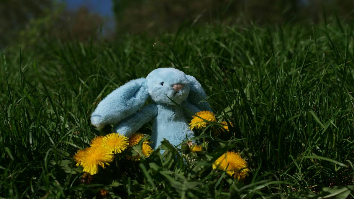 The Coziest Spring Plushies to Refresh Your Space This Season