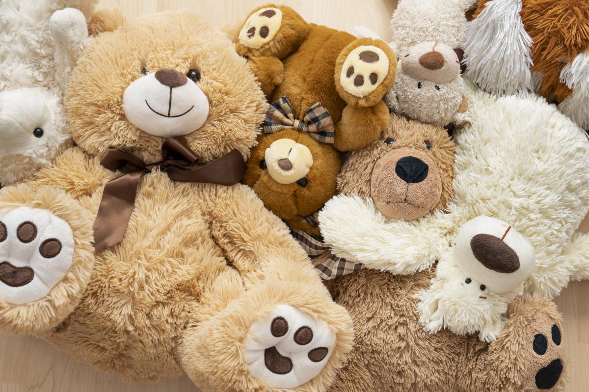 Comfort Meets Cuteness