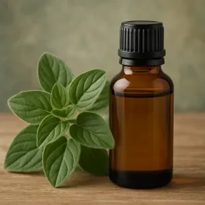 A potent Mediterranean herb for immune support and microbial balance