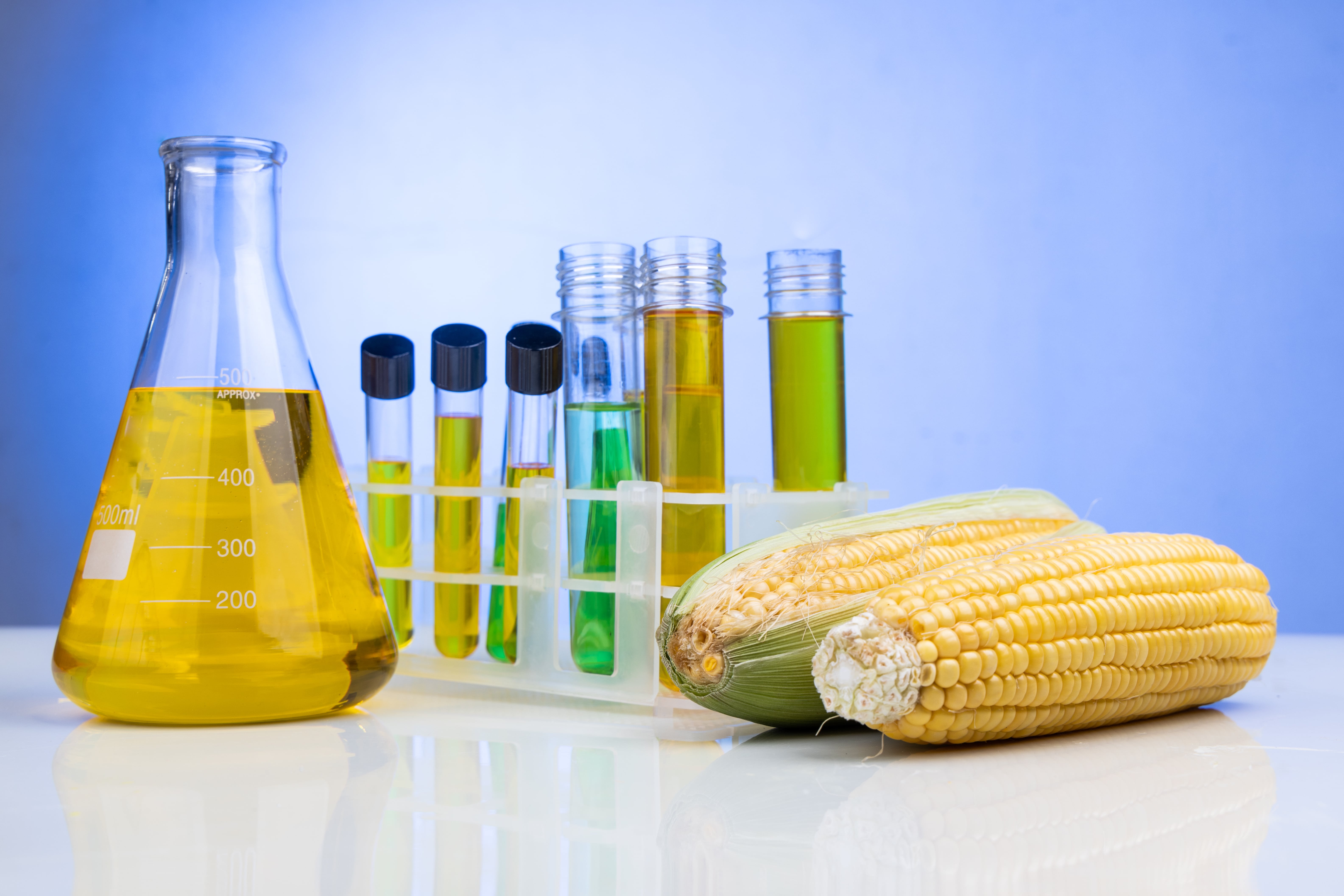 Exploring the Potential of Bio Ethanol Fuel