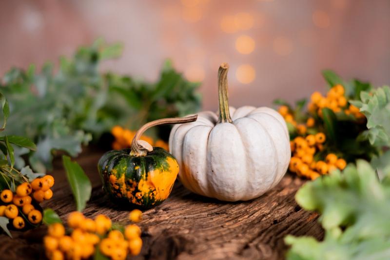 Simple ways to create a haunted haven for trick-or-treaters and guests