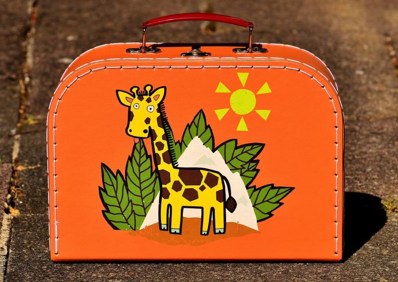 Simple tips to protect your bags and maintain their style