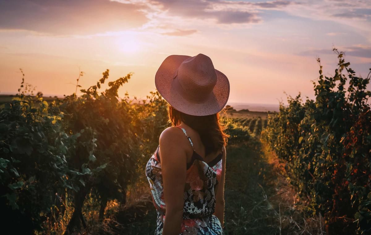 10 Winery Outfits to Wear for Spring, Summer & Fall