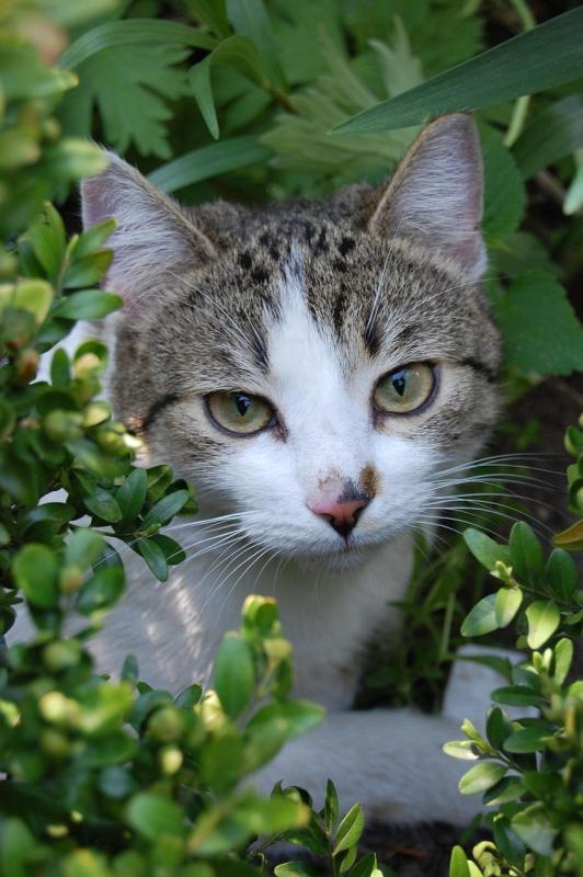 Discover Eco-Friendly Bling That Makes a Statement