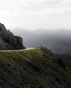 Discover the Best Cameras to Capture Your Thrilling Moments