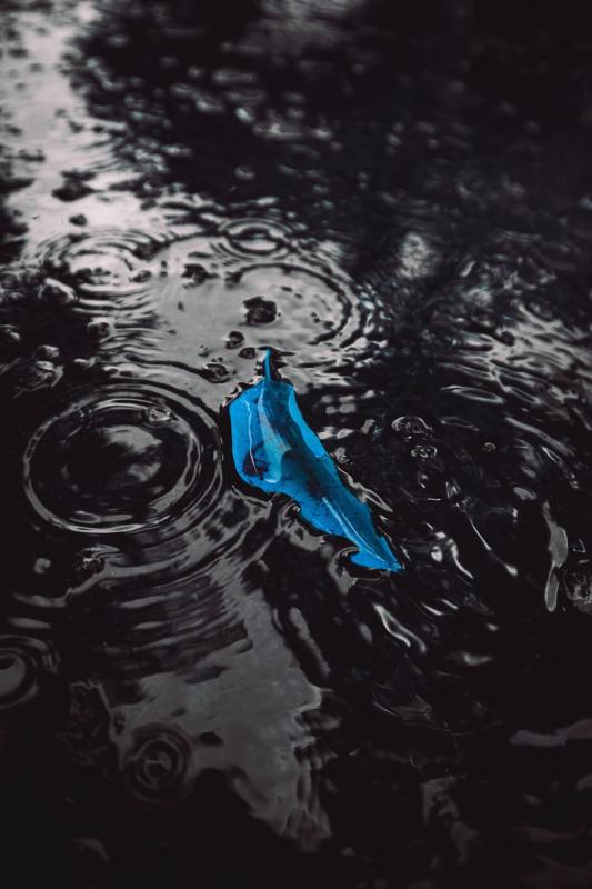 Capture every splash and dive with the best waterproof action cameras designed for your adventures