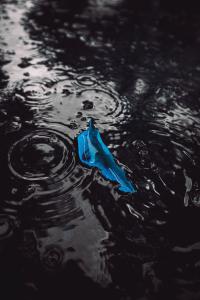 Capture every splash and dive with the best waterproof action cameras designed for your adventures