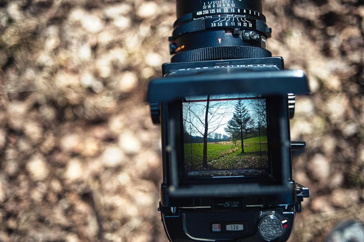 Ultimate Action Camera Reviews for Adventurous Souls