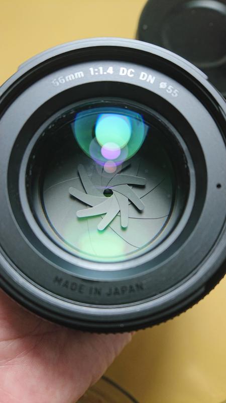 Essential gear to enhance your action camera experience and capture amazing moments