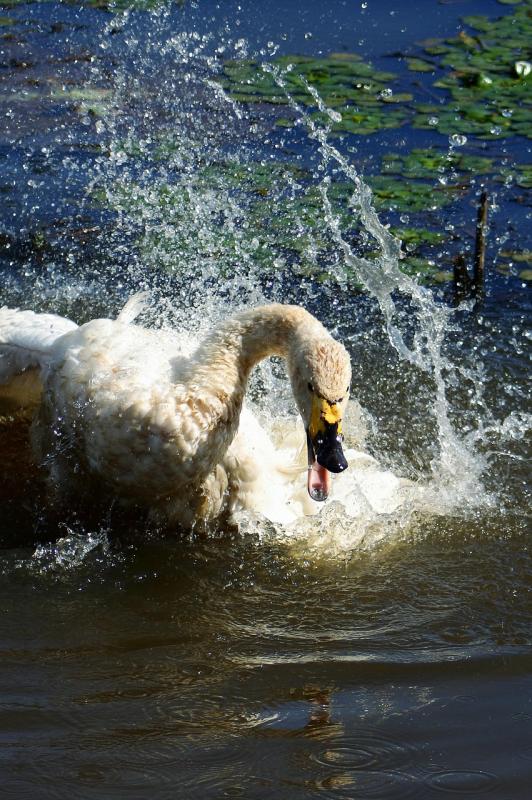 Get the most out of your action camera with these simple tricks