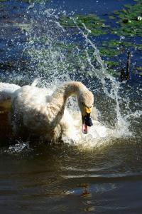 Get the most out of your action camera with these simple tricks