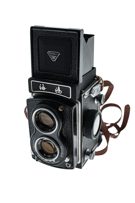 Find the perfect camera for capturing your wildest adventures