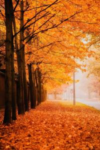 Capture your adventures in stunning detail with these top picks