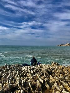 Discover the best action cameras to capture your thrilling moments