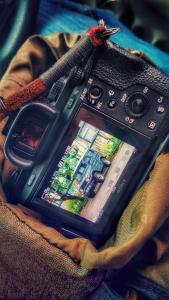 Simple tricks to capture stunning moments effortlessly