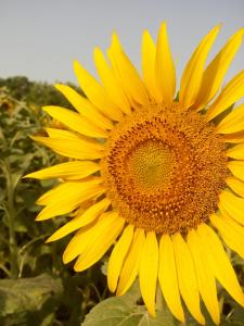 Get Ready to Document Your Wildest Moments