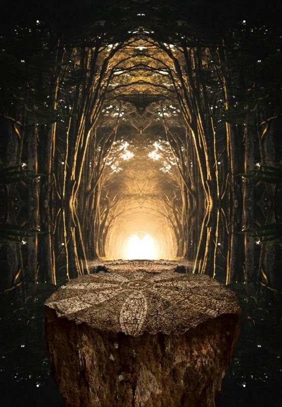 Capture your wildest moments with ease