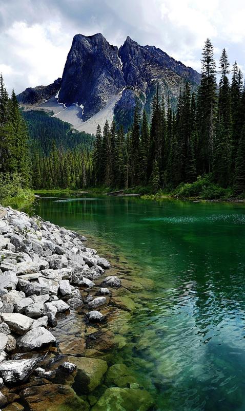 Your go-to tips for finding the perfect GoPro mounts to capture every adventure