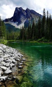 Your go-to tips for finding the perfect GoPro mounts to capture every adventure