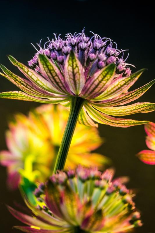 Capture every angle of your adventures with stunning clarity and ease