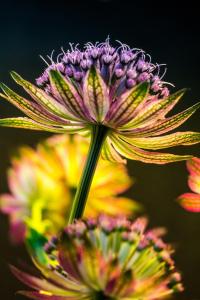 Capture every angle of your adventures with stunning clarity and ease