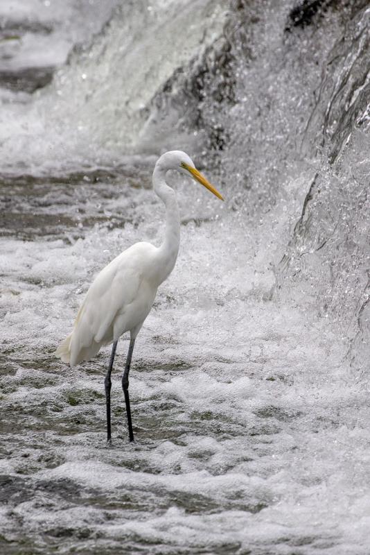 Become a pro at capturing amazing moments with these easy tips and tricks