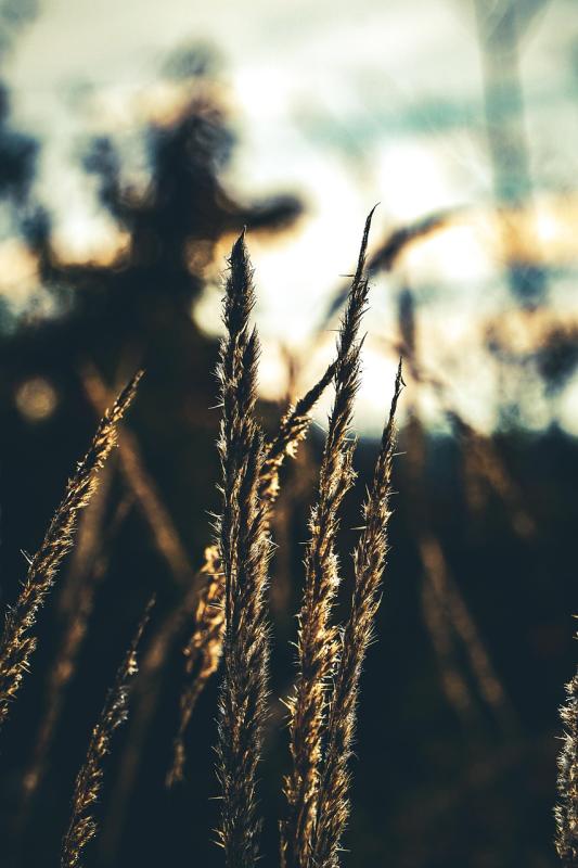 Must-know advice to get the most out of your GoPro